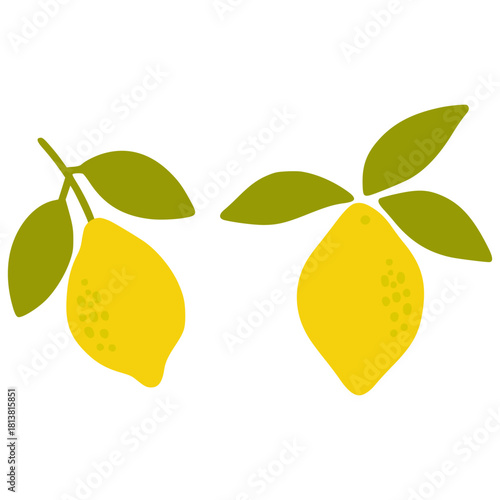 Two fresh lemons with green leaves illustration