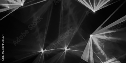 Modern luminous black and white abstract art, bright light rays, geometric shapes, dynamic composition, high contrast, focus Black and white macro texture of palm leaves creating an abstract pattern.