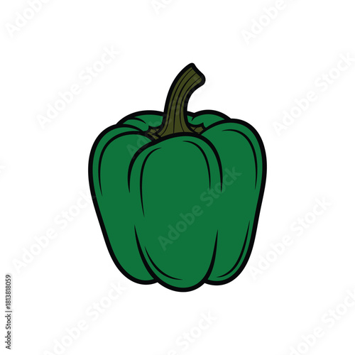 Illustrated Green Bell Pepper Vegetable on White.