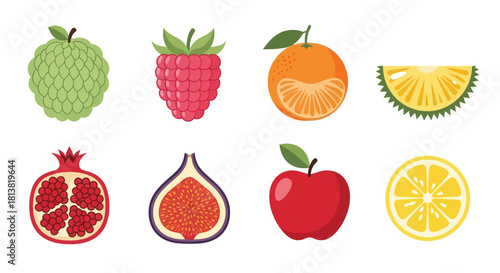 Assortment of colorful fruits vector illustration on white background