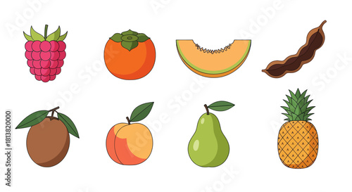 Assortment of colorful fruits vector illustrations for design and decor