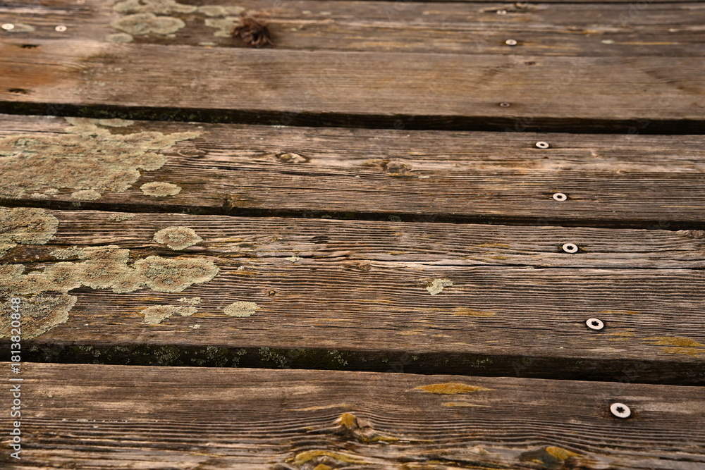Obraz premium Rich, dark brown wood texture displaying a pronounced grain, knots, and white metal screws. Ideal as a natural background for themes of aging, construction, or rustic design and copy space.