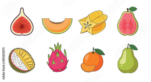 Assortment of vibrant illustrated fruit slices and whole pieces on white