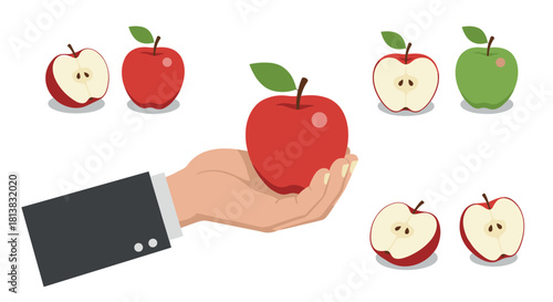Hand holding red apple with selection of fresh whole and half apples on white background