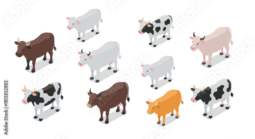 Isometric cows collection: diverse breeds in 3d style