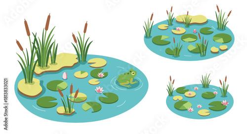 Isometric pond with frog and lilies: nature scene set in tranquil water