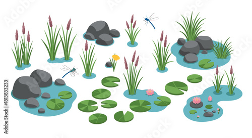 Isometric pond elements with lily pads, rocks, and dragonflies for nature design