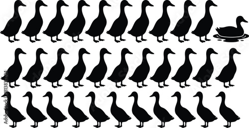 Silhouette pattern of multiple standing ducks with one swimming duck in a minimalist black vector style for wildlife design