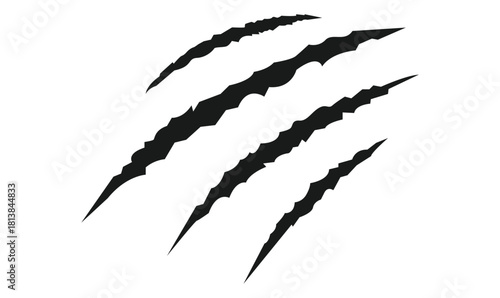 Animal silhouette claw paw marks, tiger, dog, lion, monster, scratches, talons cuts cat, tiger, isolated on transparent background. Vector	illustration.