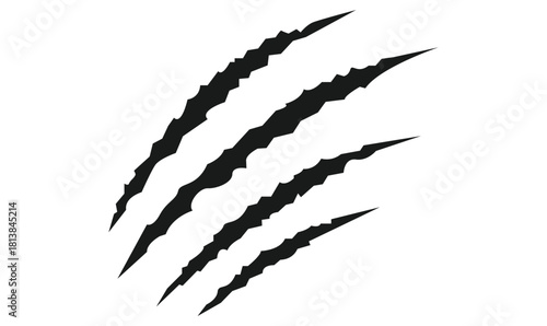 Animal silhouette claw paw marks, tiger, dog, lion, monster, scratches, talons cuts cat, tiger, isolated on transparent background. Vector	illustration.