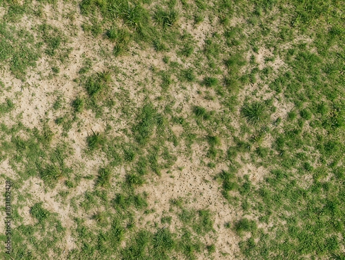 Aerial view of sparse grass texture with dry and green areas creating natural ground pattern, useful for landscape design, architectural visualization, or game development