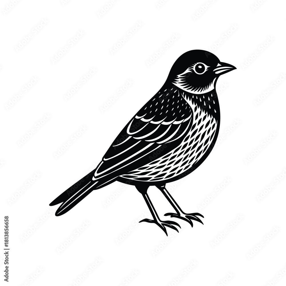 Obraz premium Isolated small brown sparrow bird with white feathers on a branch in nature