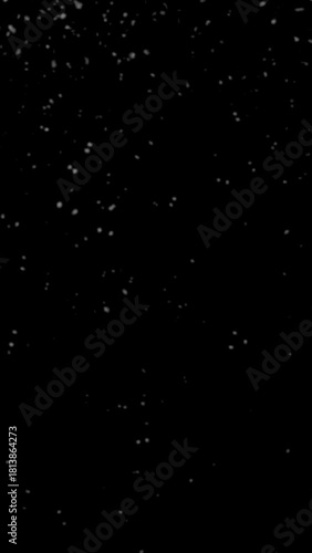 snowing video portrait with black background for christmas design concept