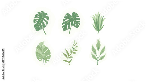 collection of green leaves