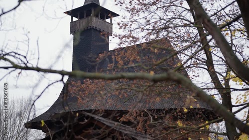 bird house in the forest