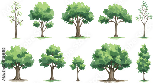 Set of Various Green Forest Trees and Plants Vector Illustration for Landscape Garden and Nature Design Projects (17 words)