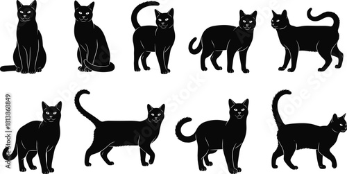 Collection of black cat silhouettes, vector illustration set of walking and sitting feline pets, isolated on white background for logo or halloween art.
