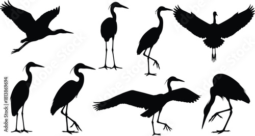 Vector set of heron and crane silhouettes, standing and flying wading birds isolated on white background, egret flock illustration for wildlife graphic design