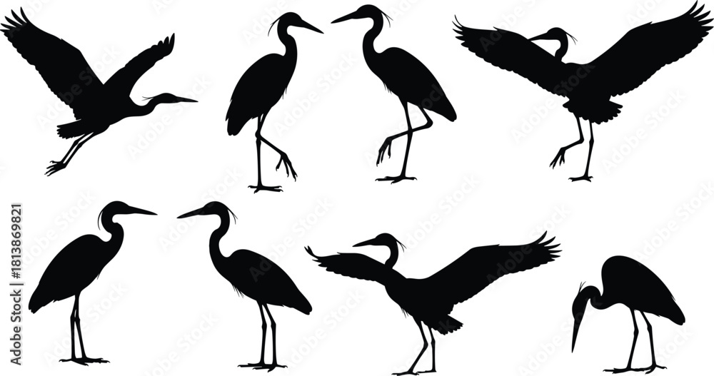 Naklejka premium Vector set of heron silhouettes, standing and flying wading birds isolated on white background, egret flock illustration for wildlife nature design
