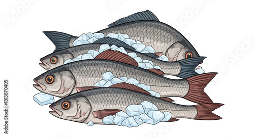 Three fish swimming upwards with white water splashes on a white background.
