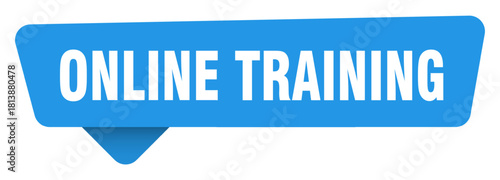 online training sticker. online training blue sign isolated on transpatent background