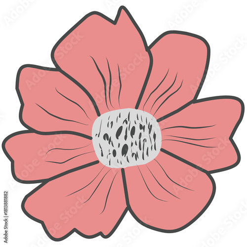 Red dahlia flower isolated on white