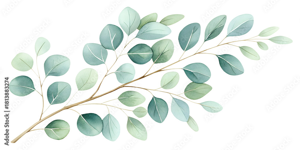 Naklejka premium A delicate watercolor set of eucalyptus branches painted in soft green tones. Each element is isolated on a transparent background, perfect for wedding invitations, botanical compositions, branding, n