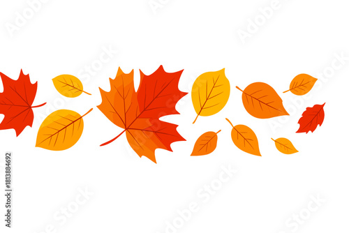 Brightly colored autumn maple and deciduous leaves forming a decorative horizontal border