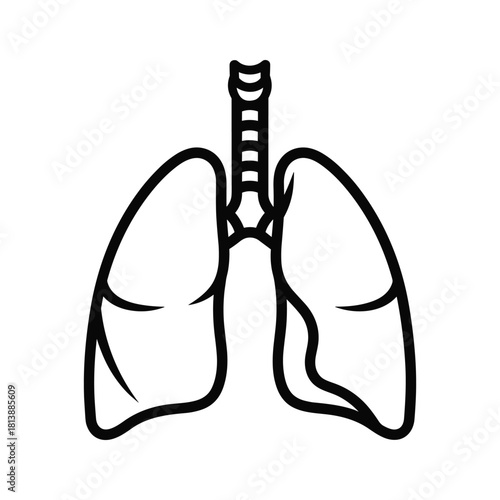 Outline illustration of human lungs and trachea, isolated on