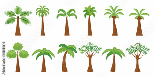 Collection of diverse cartoon palm trees and tropical plants