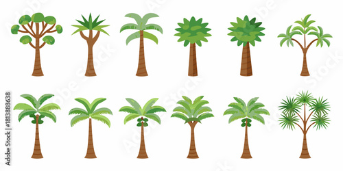 Collection of diverse cartoon palm trees and tropical plants