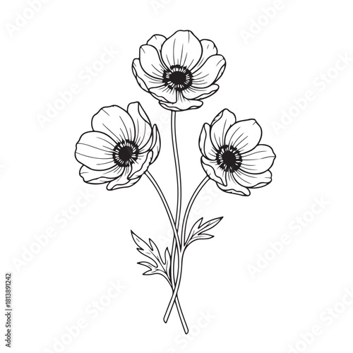 Wallpaper Mural Hand drawn black and white line art of three Anemone flowers Torontodigital.ca
