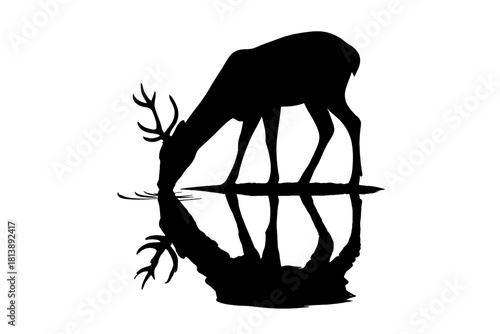 Black silhouette of a majestic stag with large antlers drinking water from a reflective surface