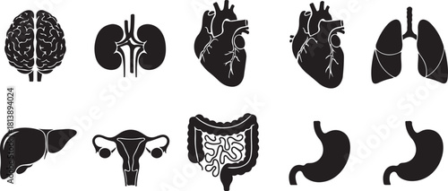 Collection of Black and White Icons Representing Human Organs