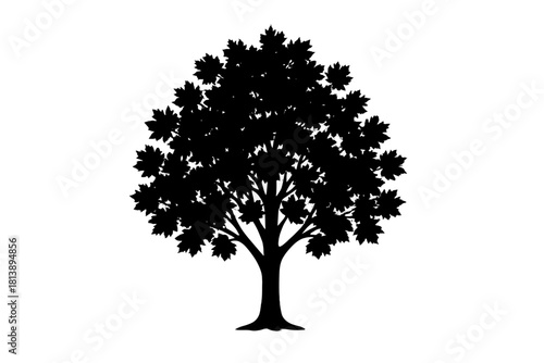 Black silhouette of a mature deciduous tree with dense foliage and visible trunk structure