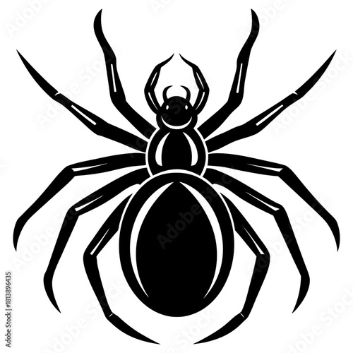 black spider isolated on white