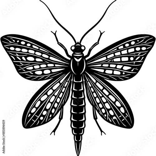 black and white mayfly silhouette 