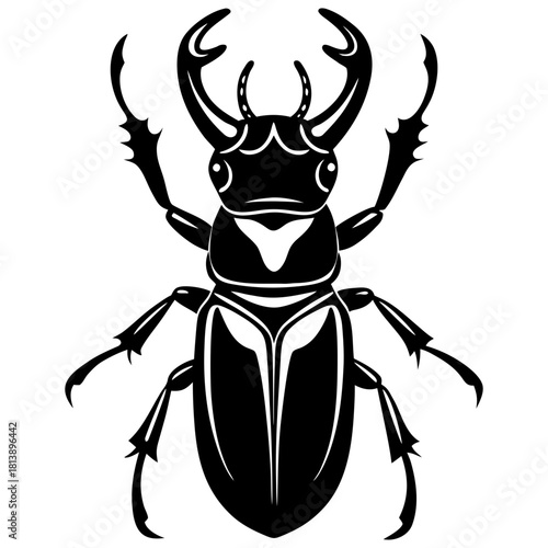stag beetle vector illustration