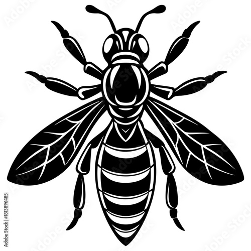 vector illustration of a bee