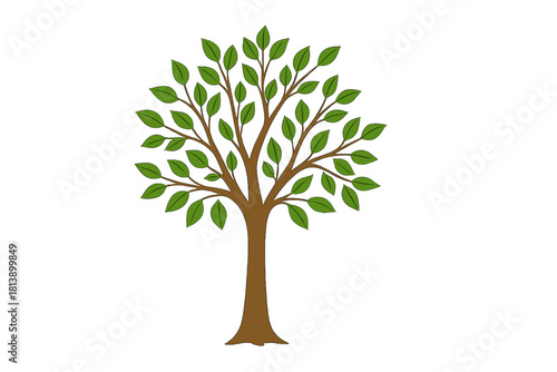 Stylized deciduous tree with lush green foliage and brown trunk isolated on a white background