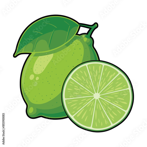 Vector illustration of a whole fresh lime with a leaf and a half slice of lime, isolated on