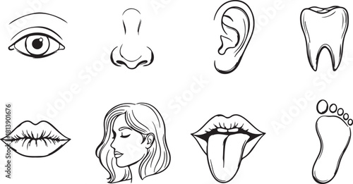 Collection of Human Body Part Icons: Eye, Nose, Ear, Tooth, Lips, Face, Tongue, Foot