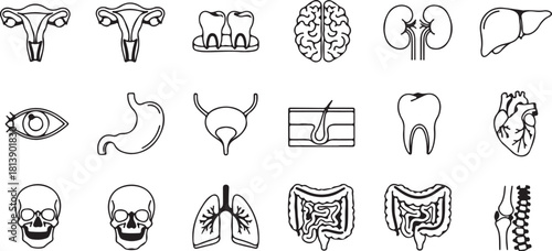 Collection of Human Organ and Body Part Icons in Black and White