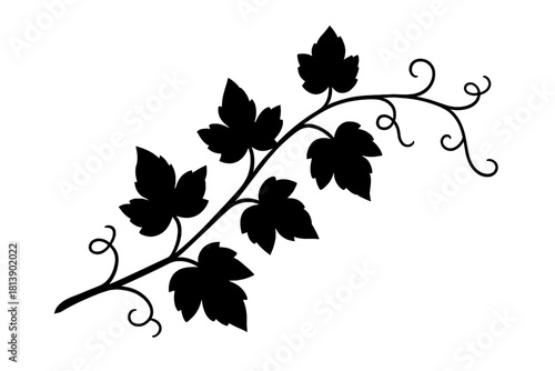 Stylized black grape vine branch with leaves and delicate curling tendrils