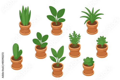 Collection of different potted indoor plants and succulents for home decor