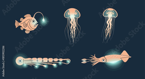 Deep Sea Creatures - Anglerfish, Jellyfish, and Squid.