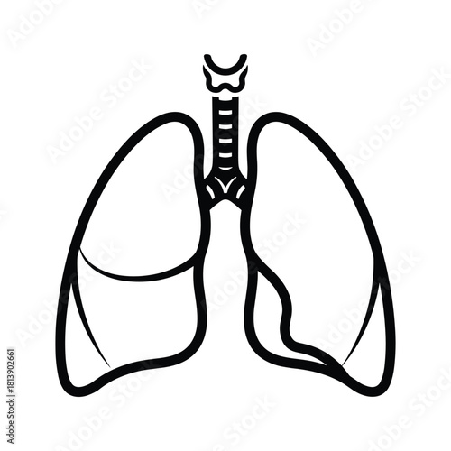 Illustration of human lungs and trachea, isolated on