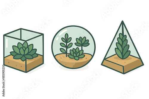 Collection of three geometric glass terrariums containing various succulent plants and soil