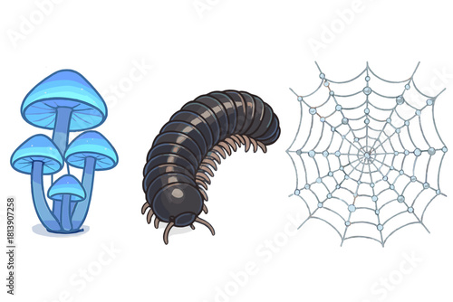 Glowing blue mushrooms, segmented millipede, and spider web covered in water droplets