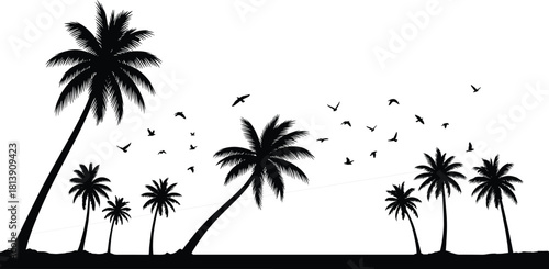 Silhouette of tropical palm trees and flying birds on beach, black vector illustration isolated on white background, summer vacation nature landscape, paradise concept